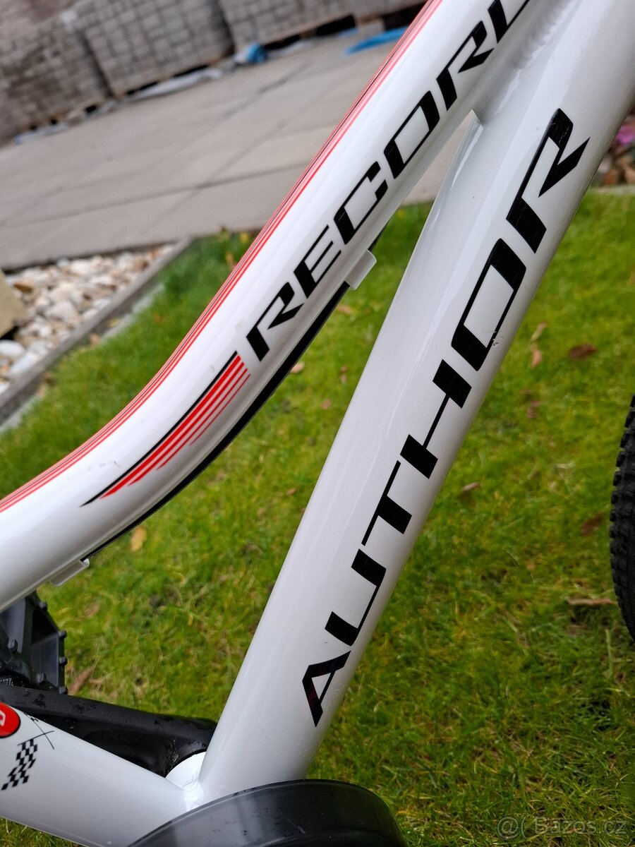 Author Record 16 - 11