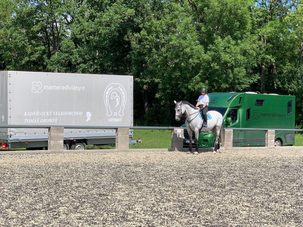 Prodej závodní stáje z důvodu ZDRAVÍ - 11