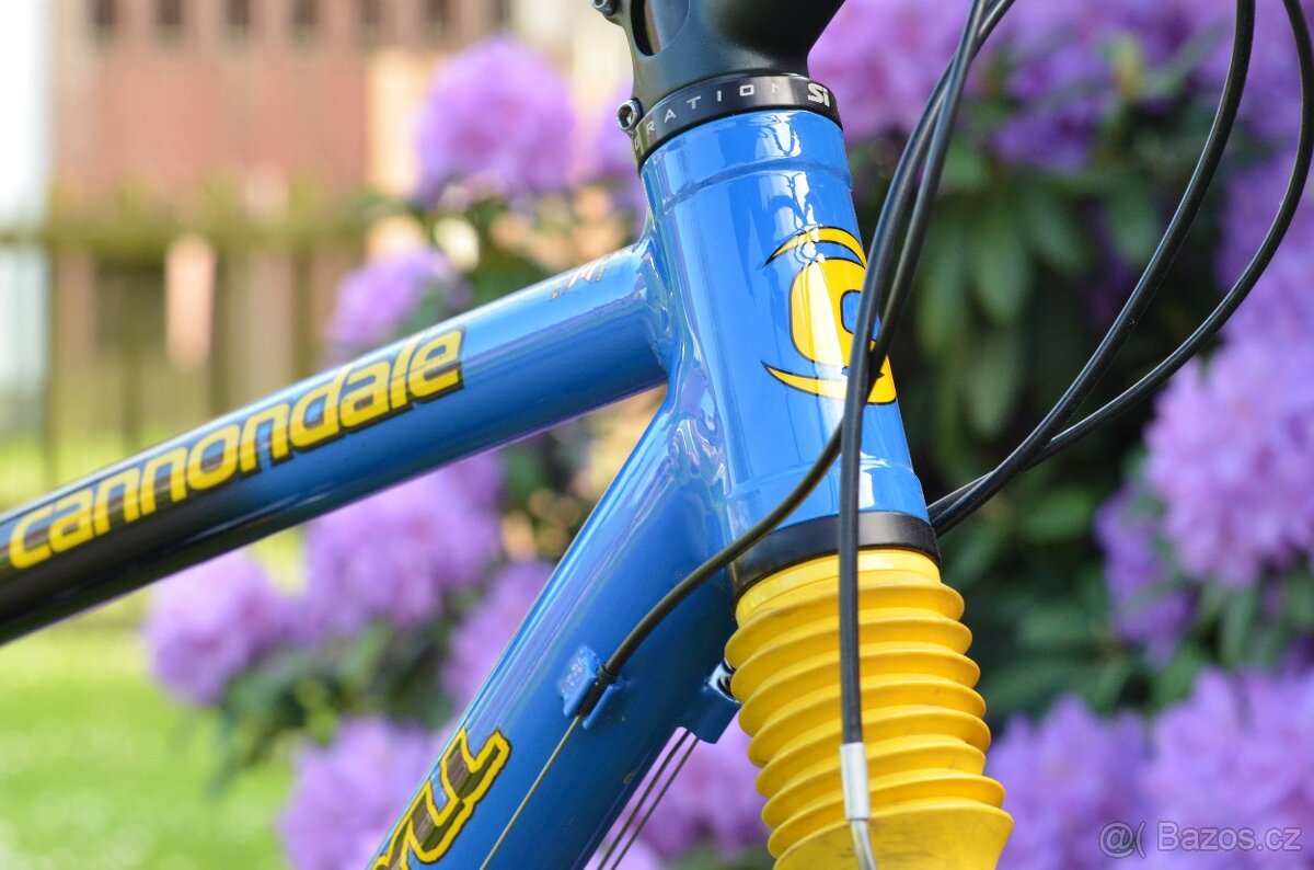 Cannondale JEKYLL 500 - 11