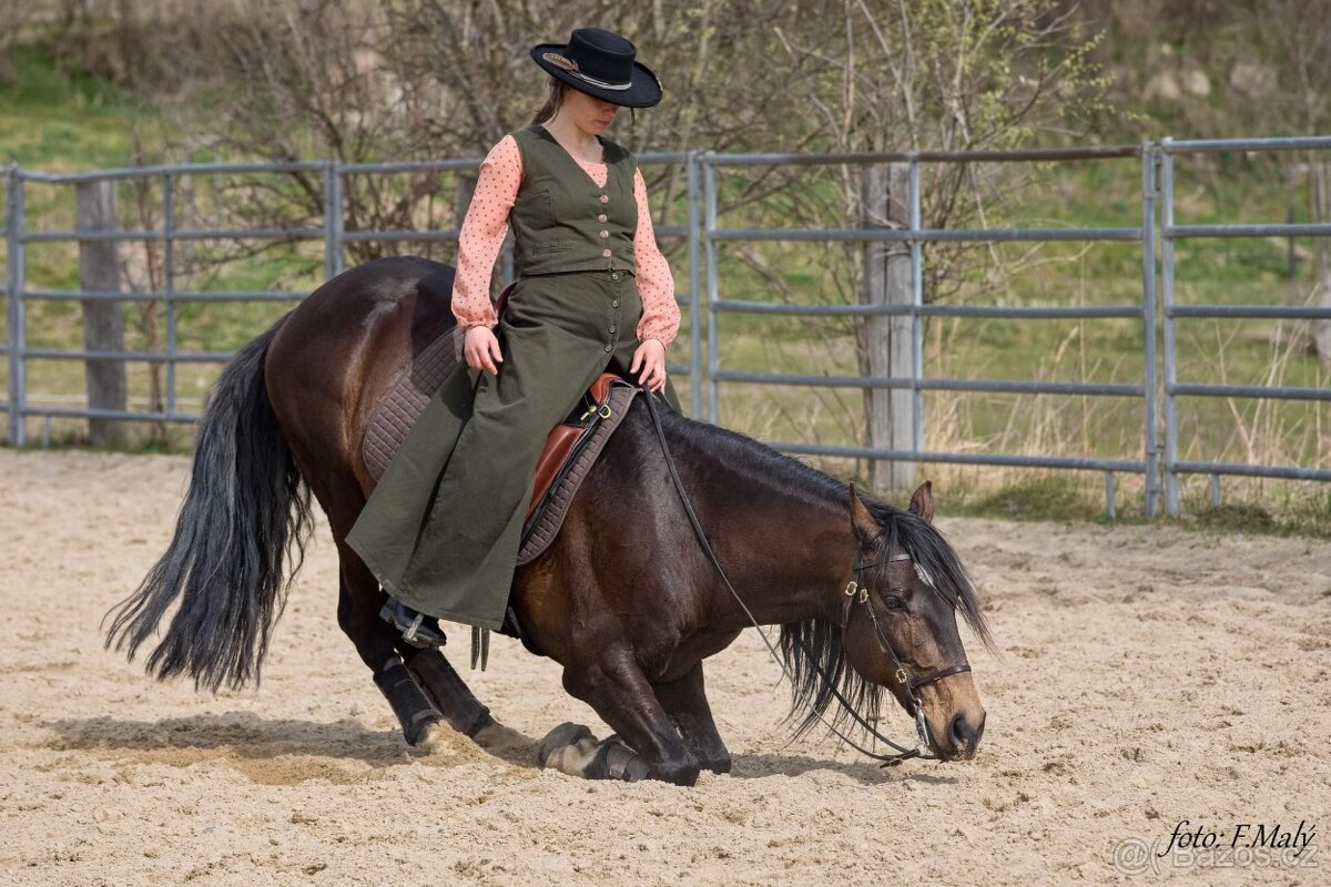 PŘIPOUŠTĚNÍ PSL - 11