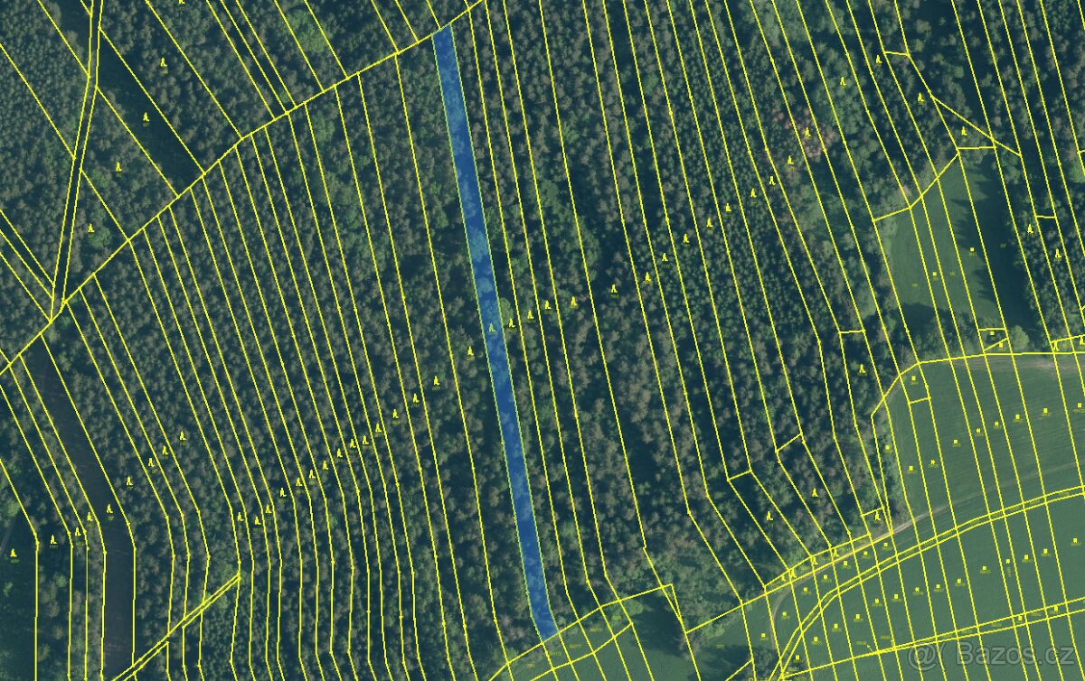 Prodám lesní pozemek v k.ú. Ločenice, p.č. 760/46 - 11