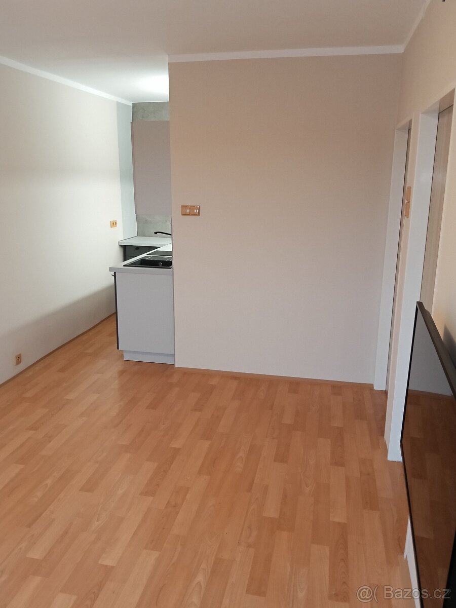 2+kk, Dr, Teplice Krajní ul, 39m2, nový interiér - 11