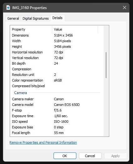 Canon EOS 650D + EF-S 18-55mm IS II + EF 50mm f/1.8 II ... - 11