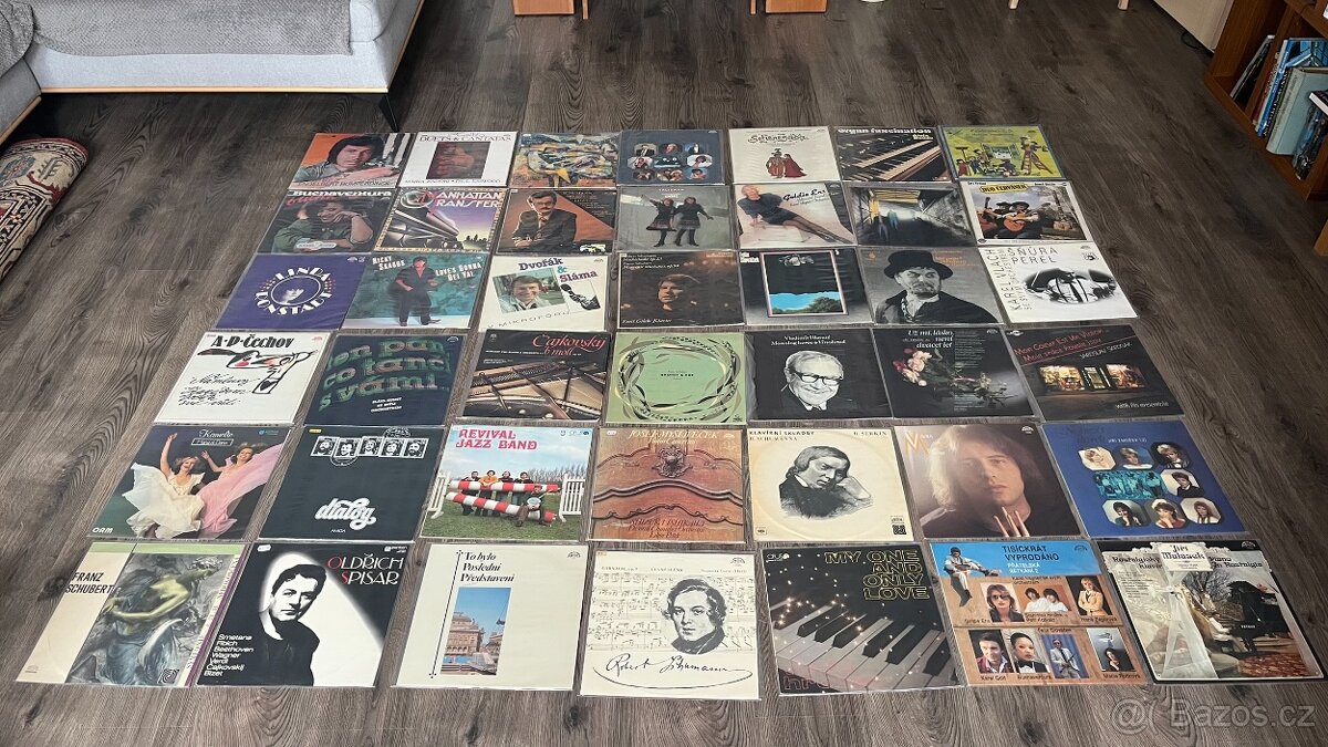 LP / Vinyl desky - velká sbírka (Punk , Rock ,atd) - 11