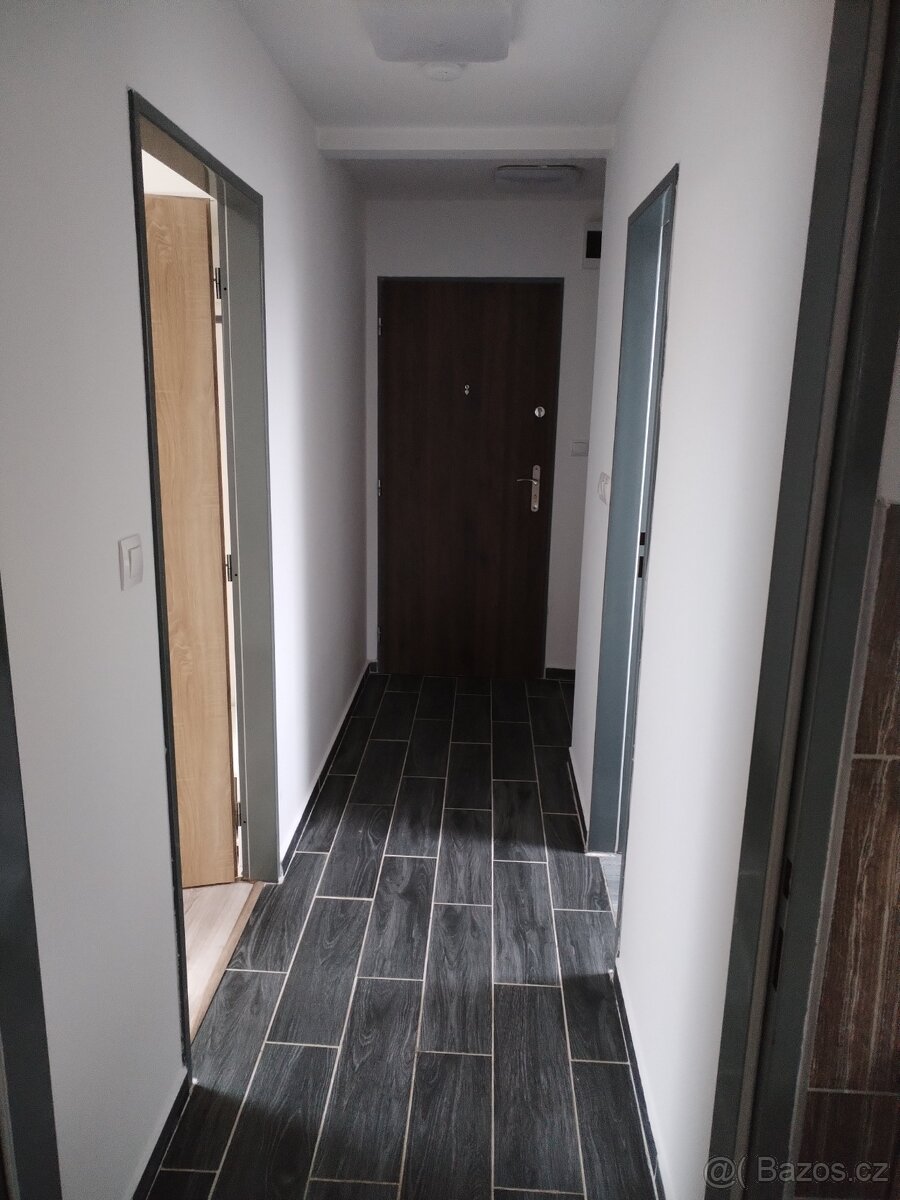 Pronájem bytu - 11