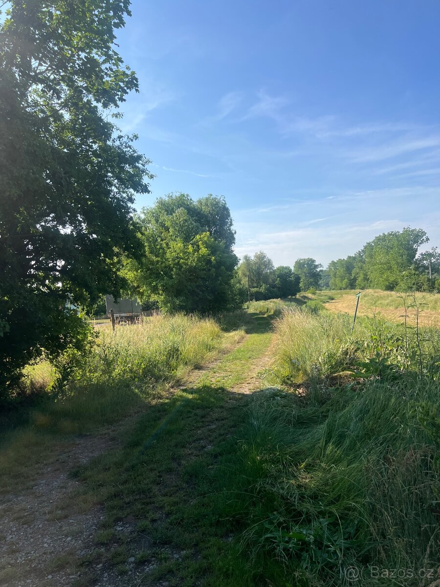 Prodej Zahrady Božice 1119m - 11