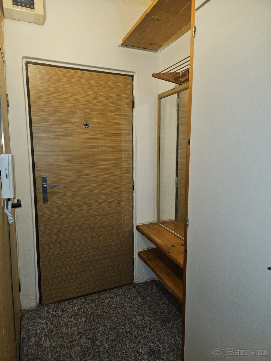 Pronájem bytu 1+1 Mariánské lázně - 11