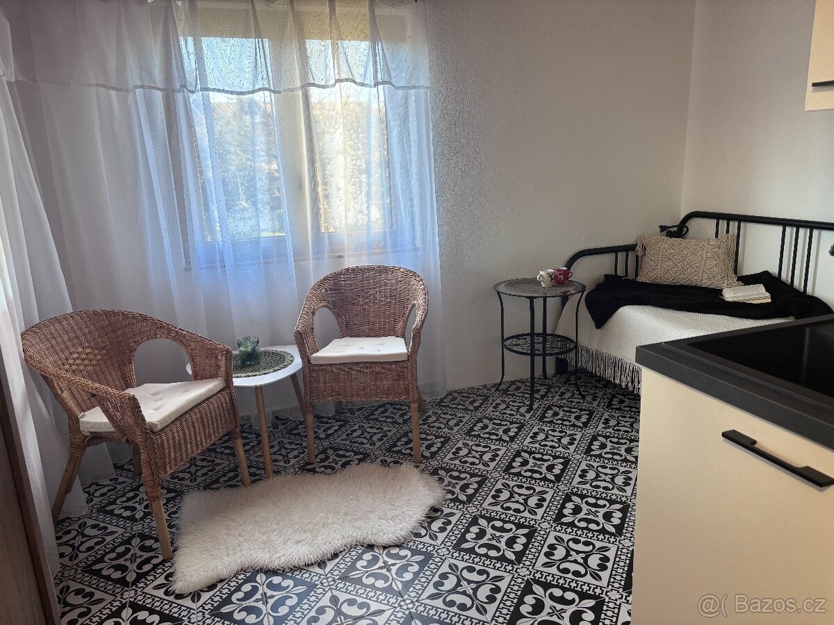 Prodej zděné rekreační chaty, Planá - Strkov - 11