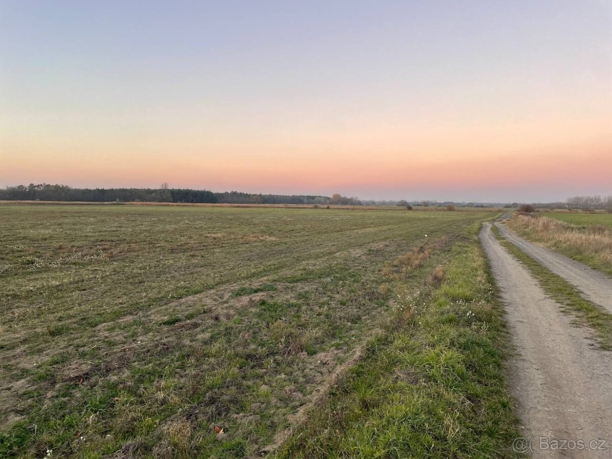 Veľký Pozemok 45 172 m² pri Malých Levároch - 11