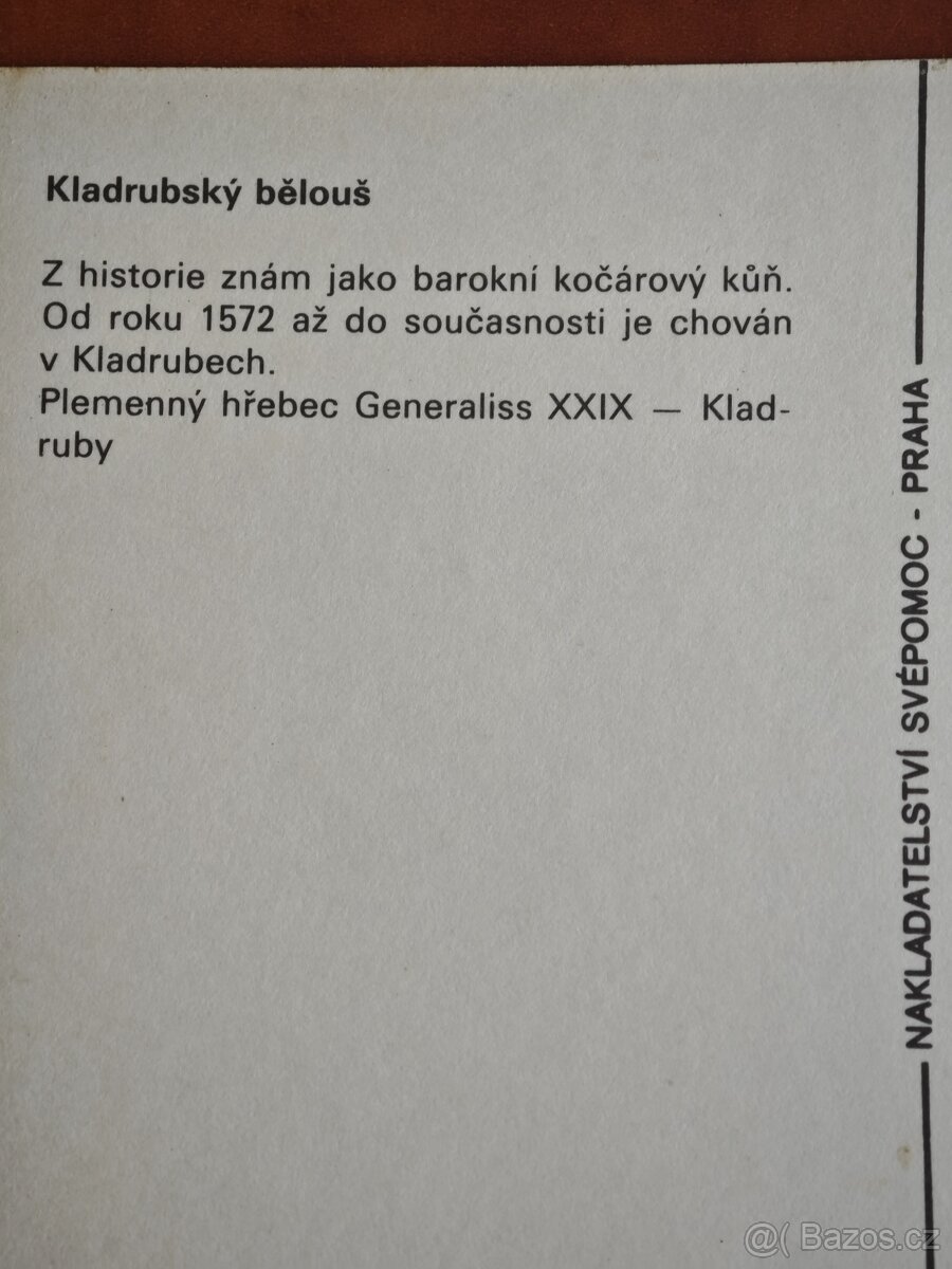 Pohlednice koní, 62ks - 11