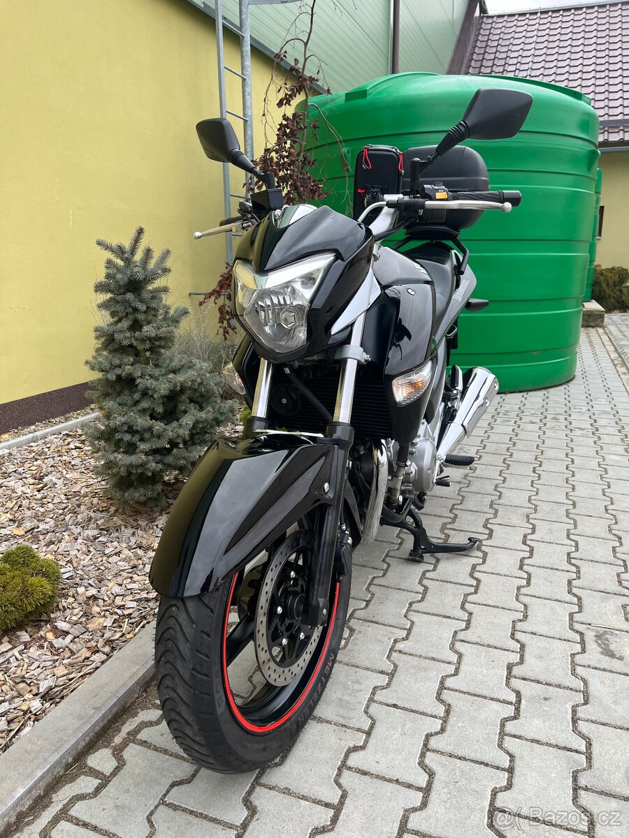 Suzuki GW 250 INAZUMA - 11