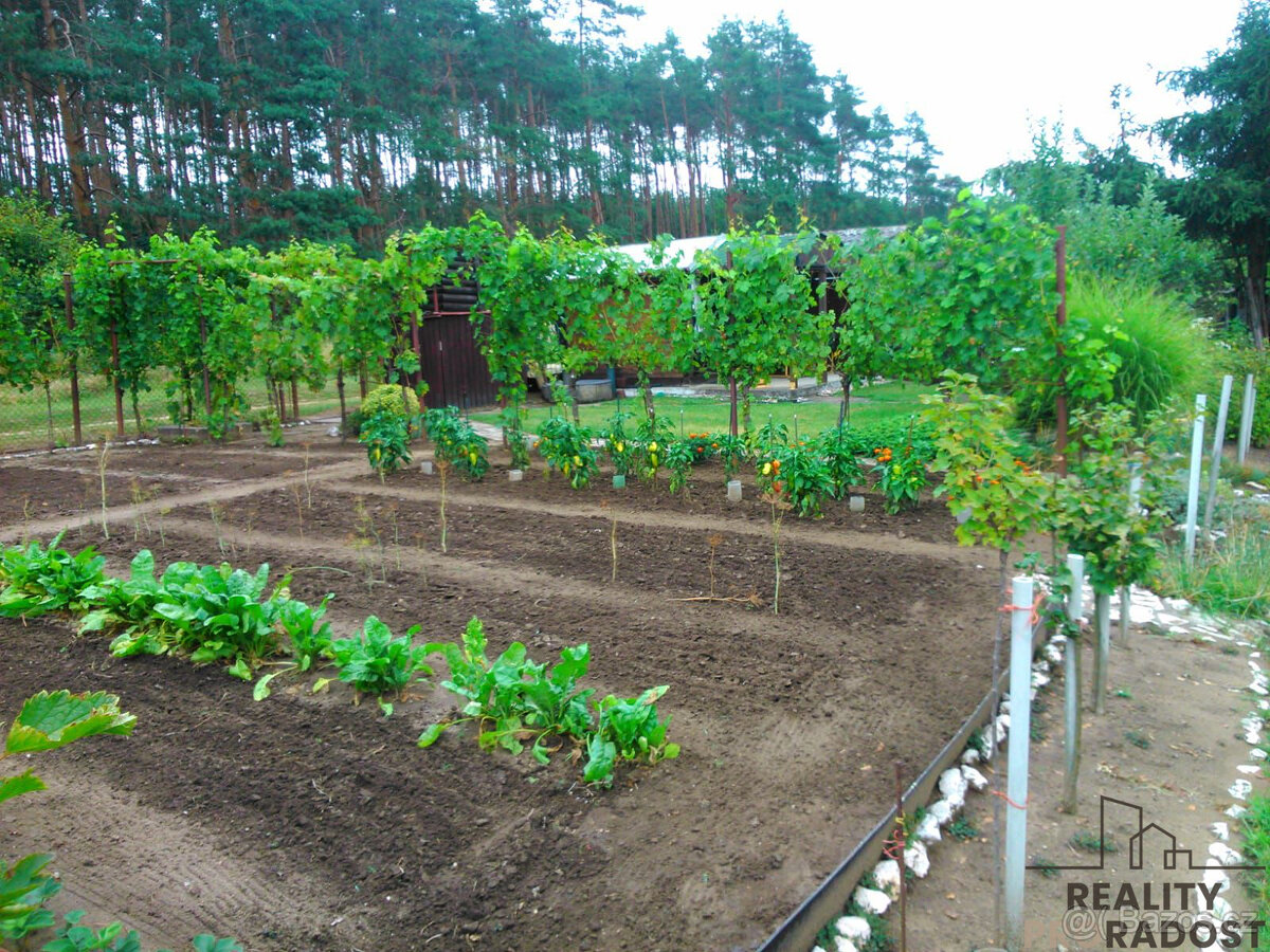 Prodej zahrady 585 m2, Hodonín - 11