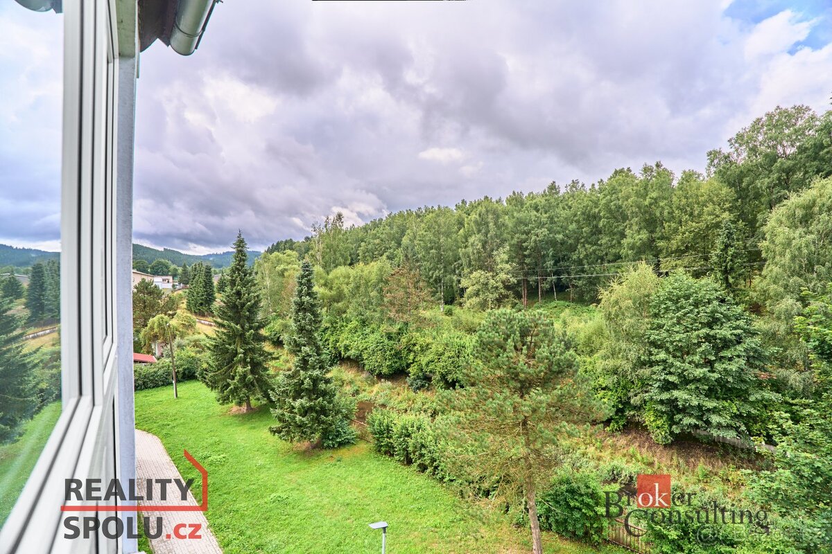 Pronájem, byty/3+1, 62 m2, Družstevní 30, 35801 Kraslice, So - 11