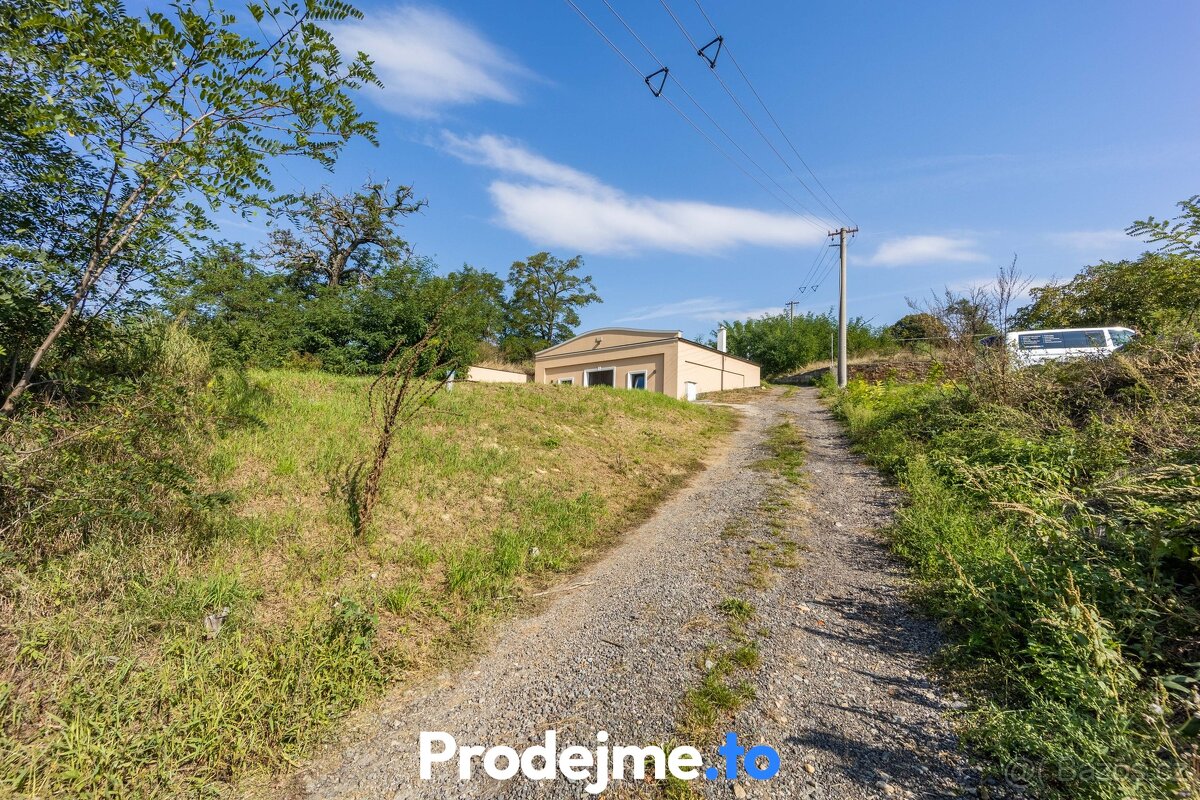 Prodej vinného sklepu, 182 m² - Dyjákovice, ev.č. 01221 - 11