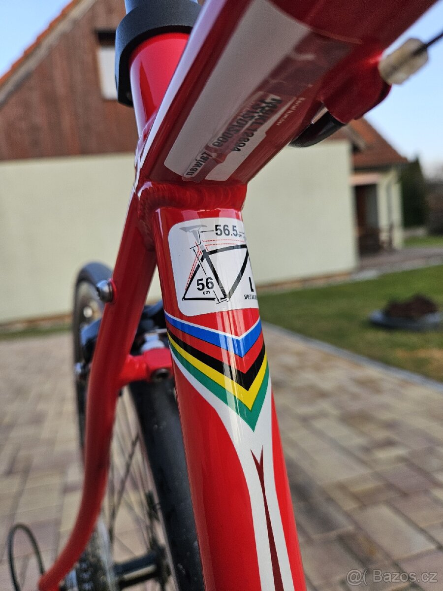 Specialized silnička - 11