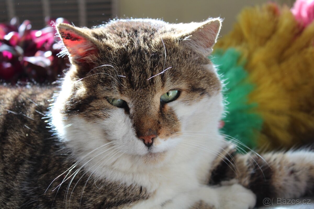 Fotoaparát Canon EOS 1200D a objektiv Tamron AF70-300mm - 11