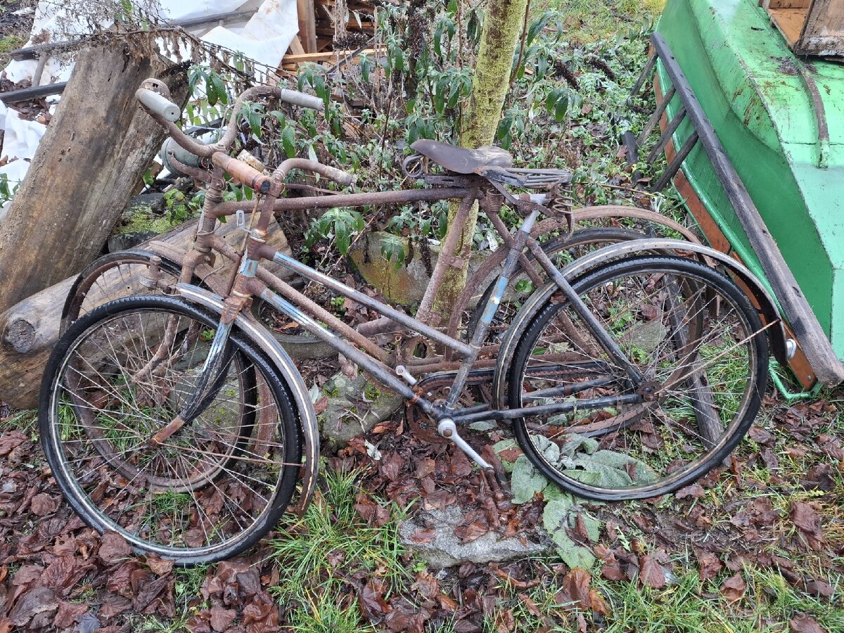 2x historické kolo Tudor - 11