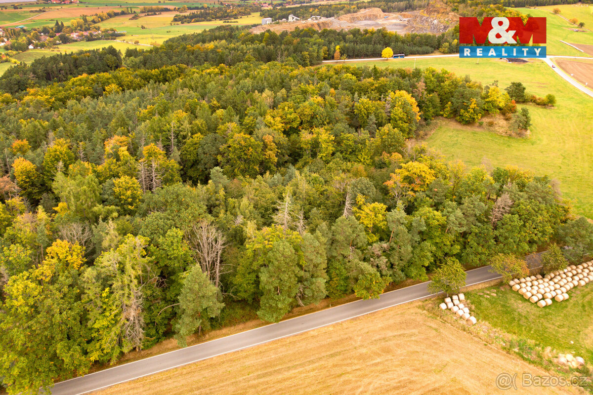 Prodej lesa, 39171 m², Ježovy - 11