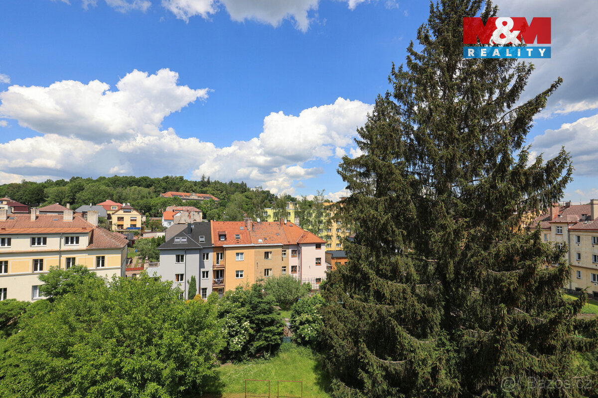 Pronájem bytu 1+1, 43 m2, v Klatovech, ul. Masarykova - 11