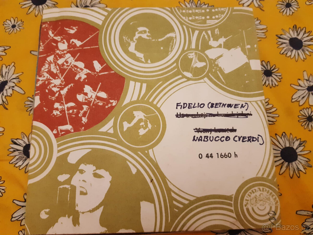 SP deska ružné druhy výběr dle foto - 11