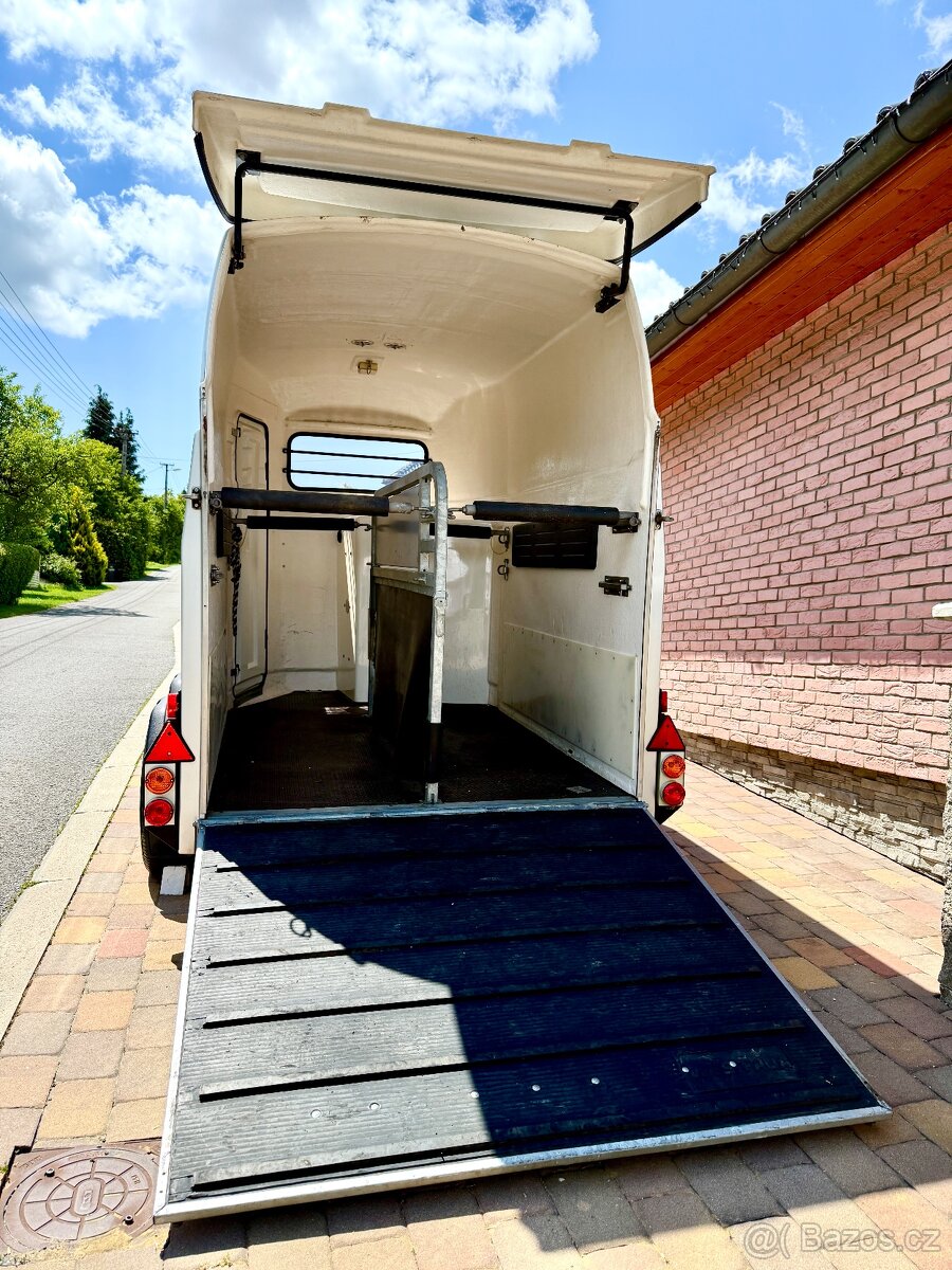 Dohoda možná- PRODÁM PŘÍVĚS PRO DVA KONĚ WESTFALIA JUPITER - 11