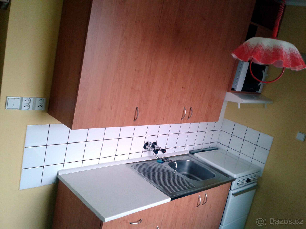 Pronájem bytu 1+1 Blansko Dvorská - 11