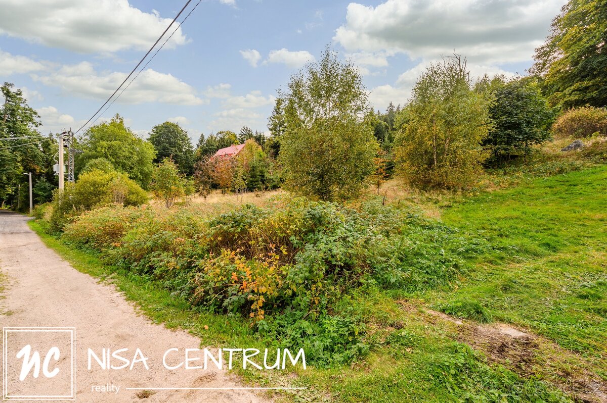 Prodej louky 3 741 m², ev.č. 00125 - 11