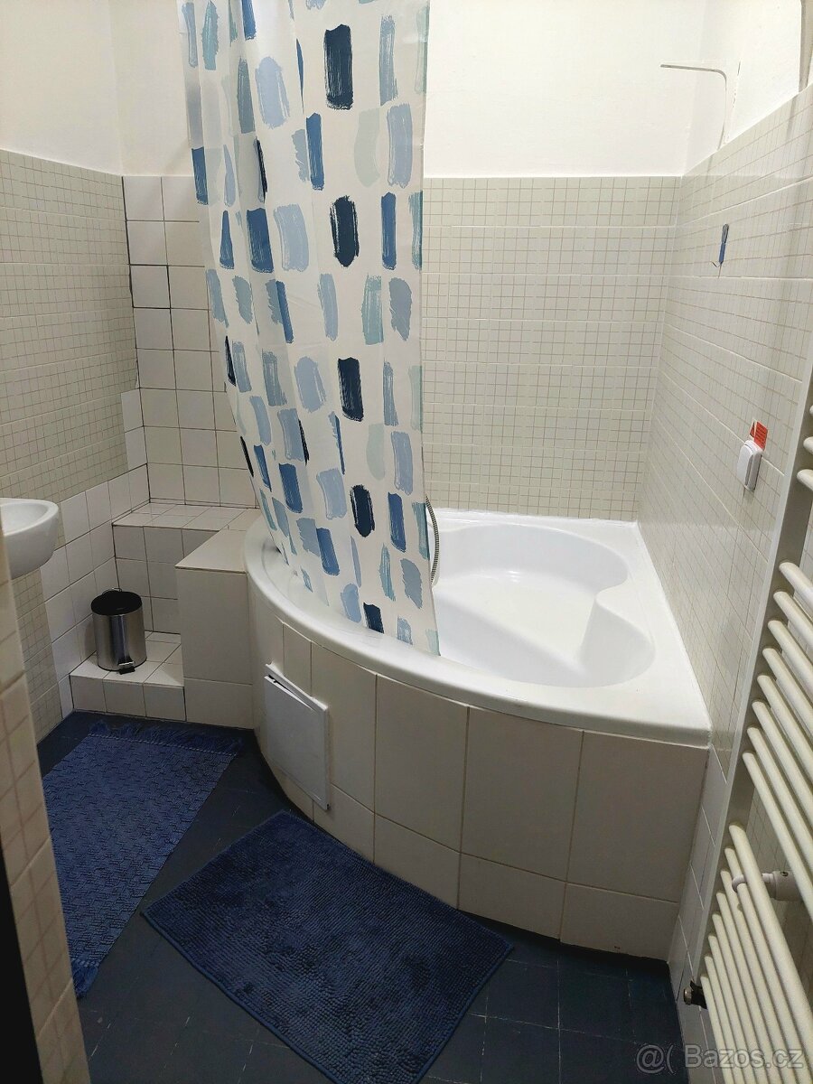 Byt 1+1 46m2 Jugoslávská Brno - 11