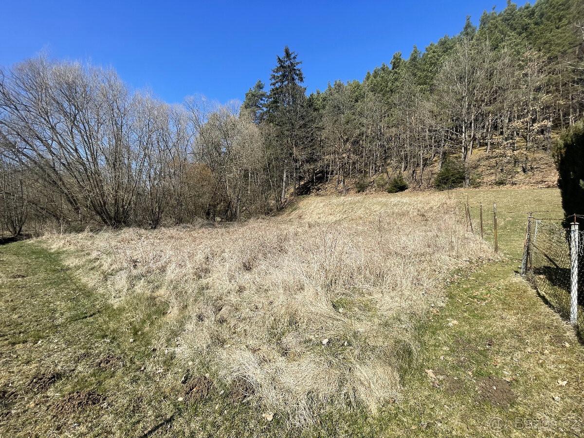 Prodej zahrady v Janovicích u Sušice 782 m2 - 11