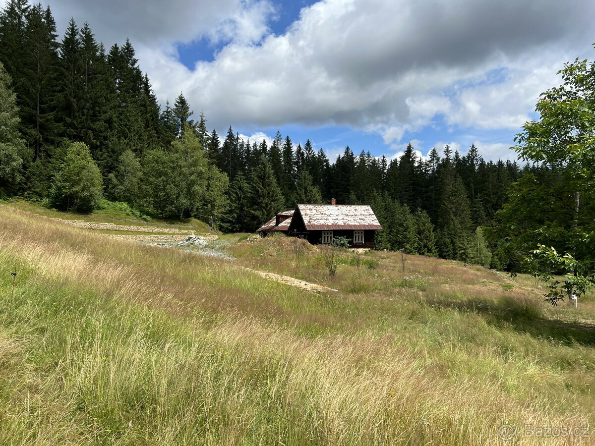 Prodej, pozemek, 70 000 m, 99, Staré Hamry, Česko - 11