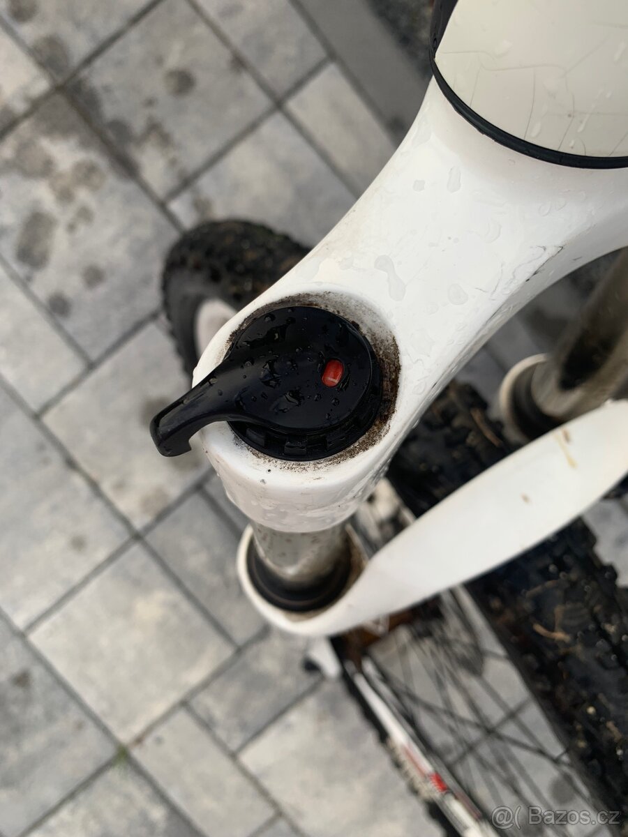 Fuji Nevada 1.0 - 11