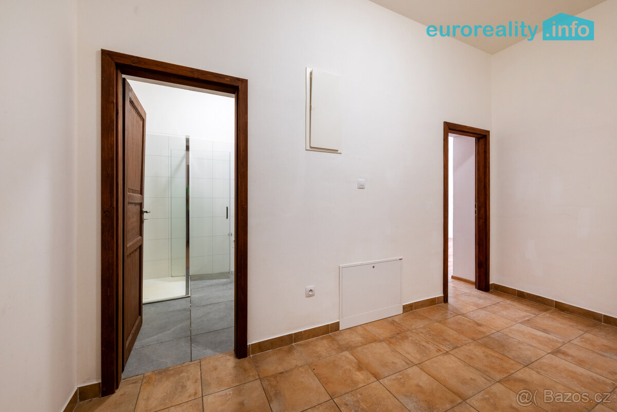 Pronájem, byt 3+kk, 58 m2, Luby, ul. Revoluční - 11