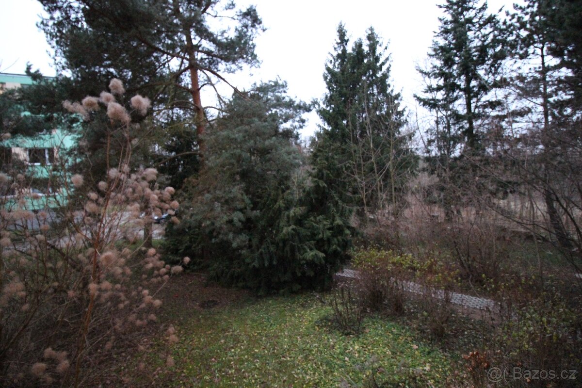 Pronájem bytu 2+kk, 43 m², Praha - Průhonice - 11