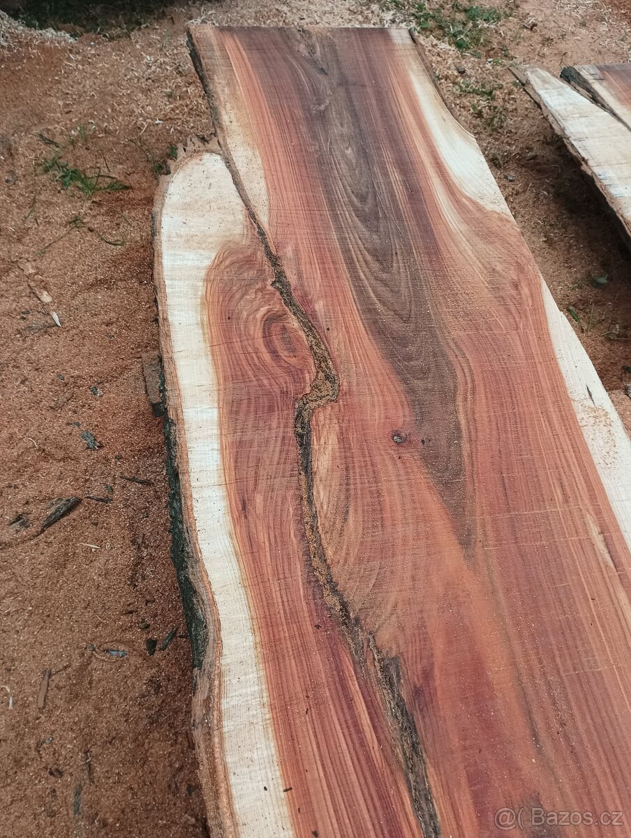 Fošny z červeného Jilmu - 11