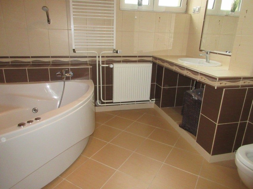 NA PRODEJ - RODINNÝ DŮM V PROTIVÍNĚ (PÍSECKO) - 11