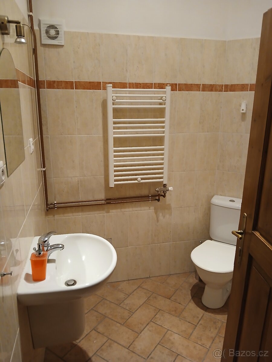 Pronájem 2 kanceláří v centru Č. Budějovic - 11