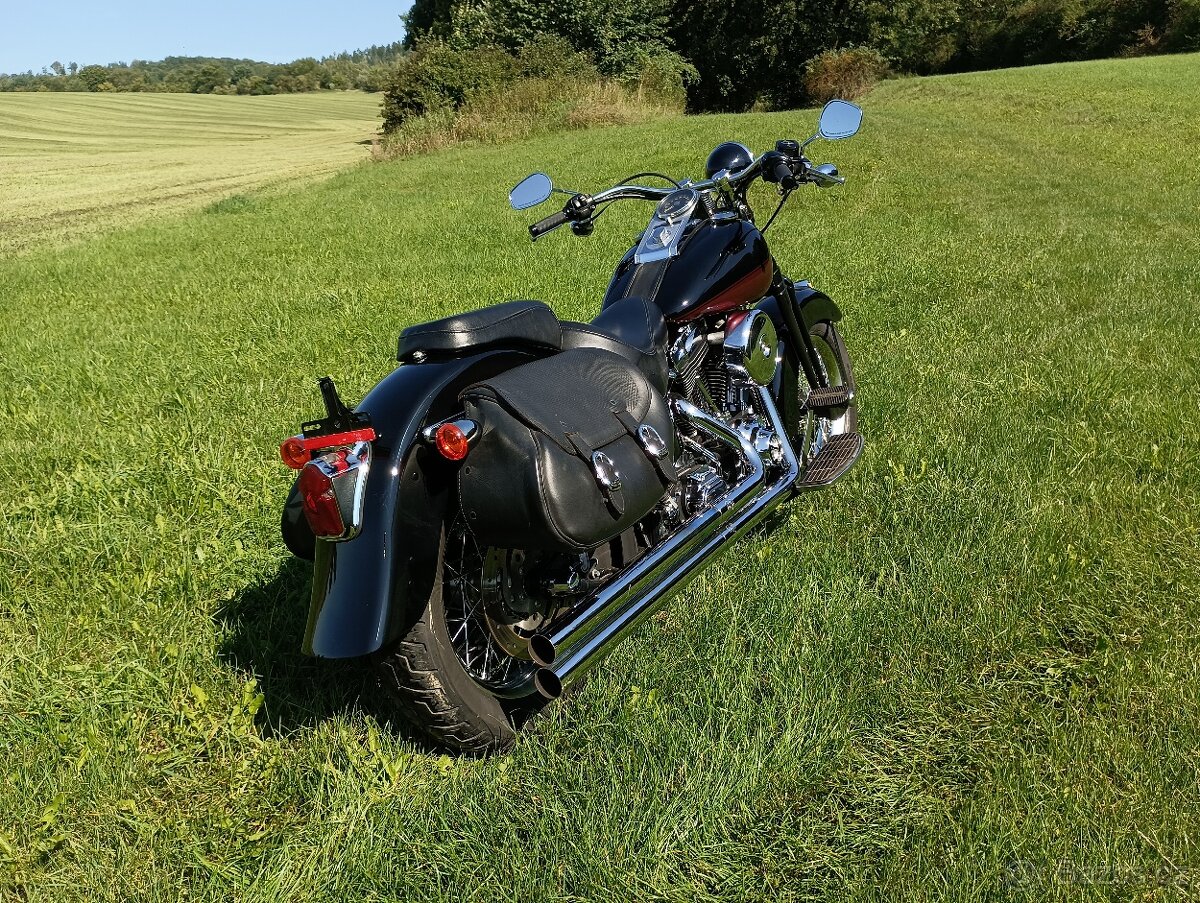 Harley Davidson FLSTS Heritage Springer - 11
