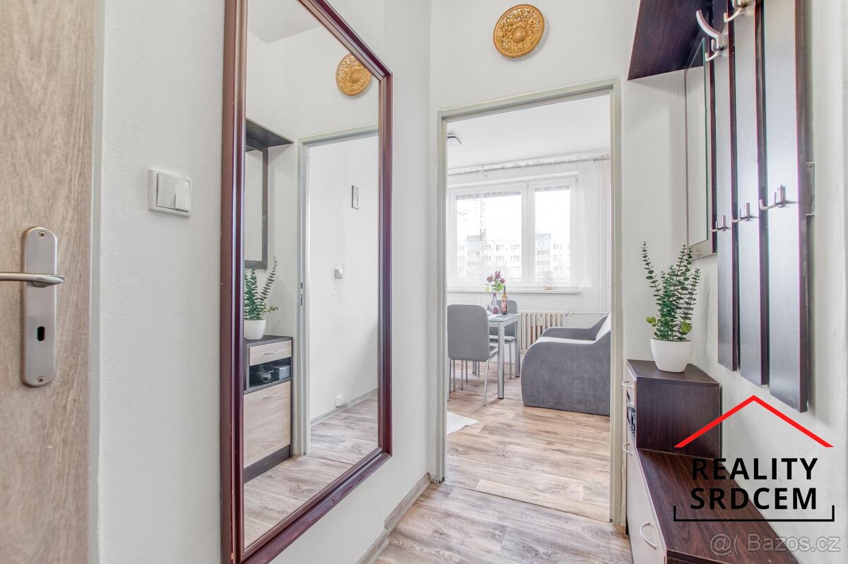 Prodej družs. bytu 1+1/35m2 ul. Slovenská, Karviná - Hranice - 11