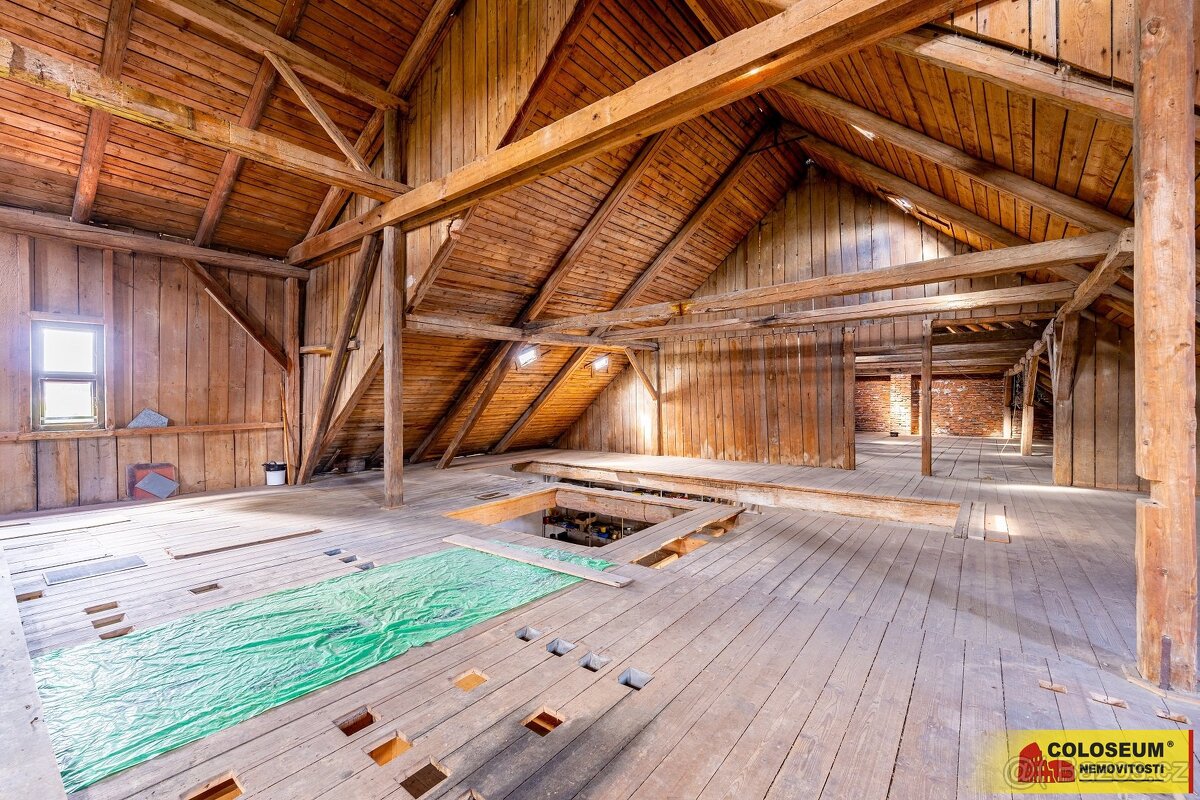 Nové Veselí - RD 3+1 a 1+1, zahrada, mlýnice, studna, půda - - 11