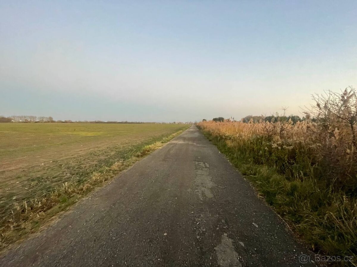 Nová Ponuka, 45 172 m² pri Levároch - 11