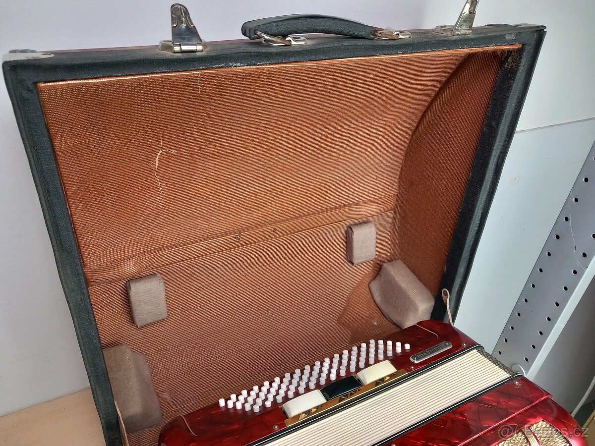 Harmonika Delicia - 11