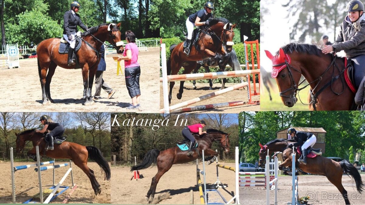 ČT hřebeček 2025 - Možnost splátek - 11