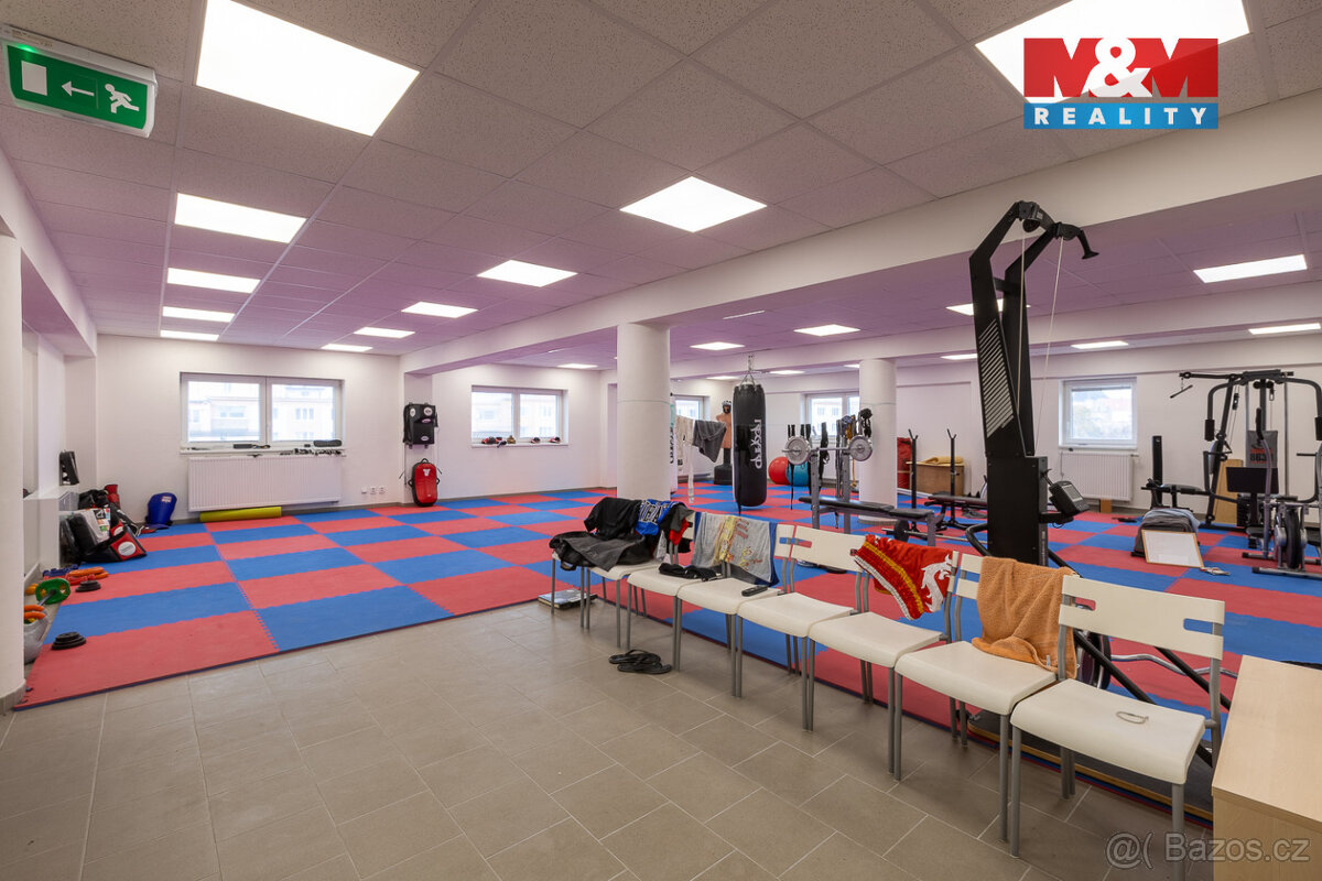 Pronájem kancelářského prostoru, 166 m², Louny, ul. Březinov - 11