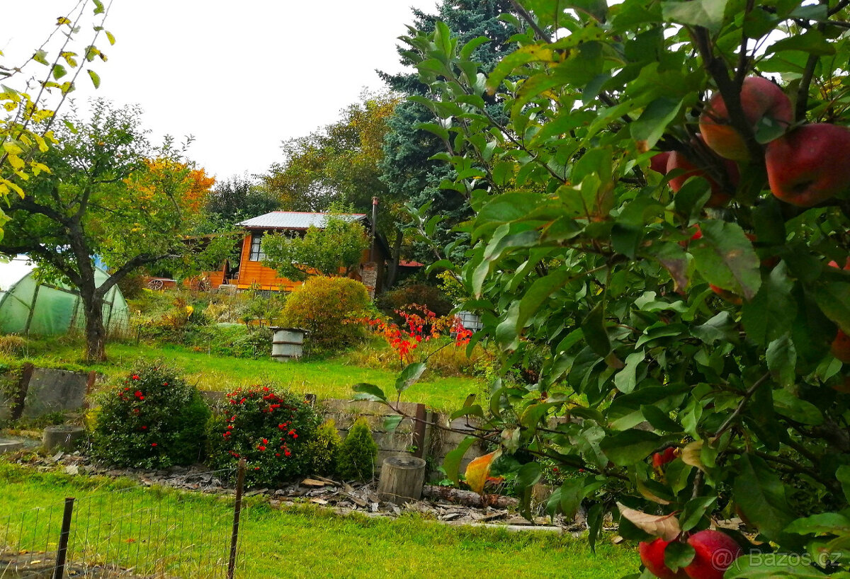 Prodej zahrady s chatou - 11