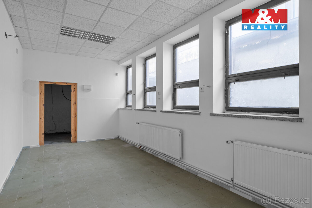 Pronájem multifunkčního objektu 350 m² s pozemkem 1658 m² - 11