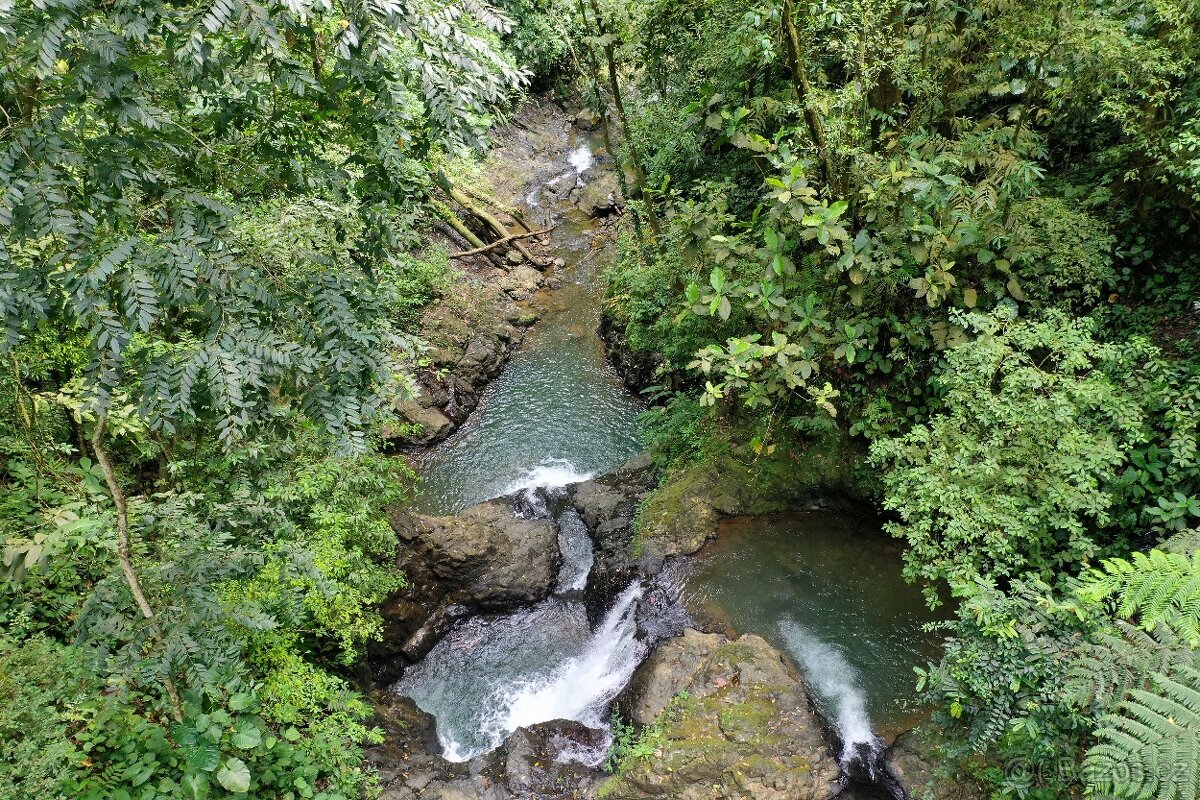 Farma Kostarika Golfito - 11