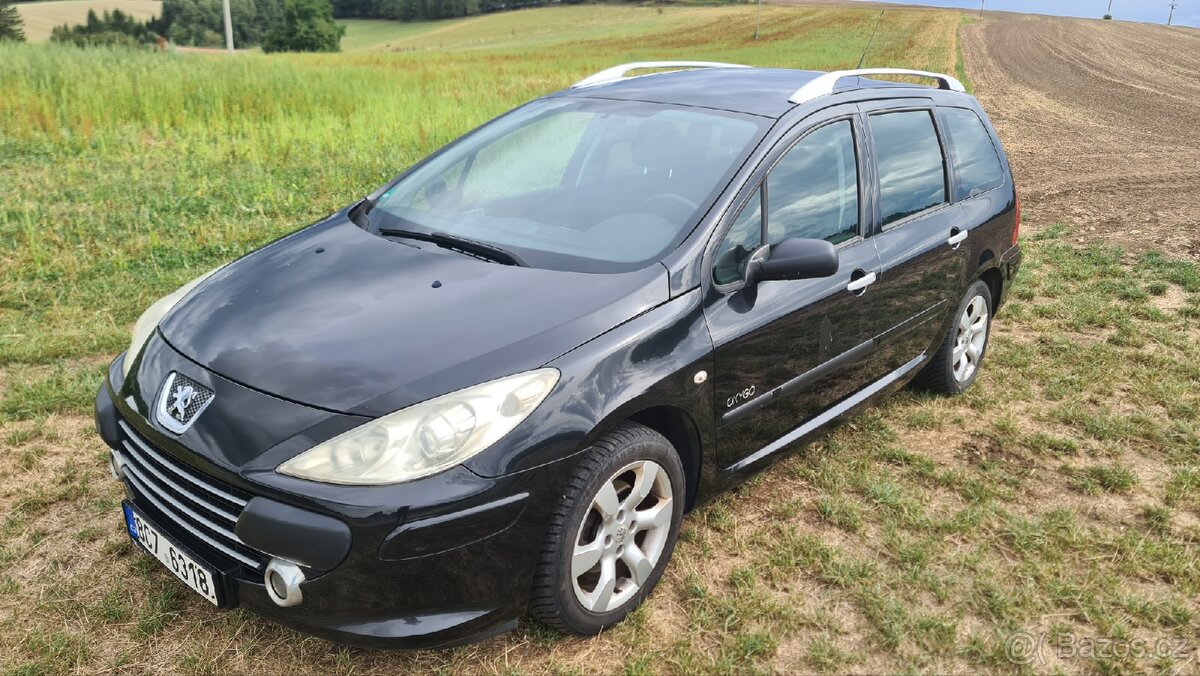 Peugeot 307 sw - 11