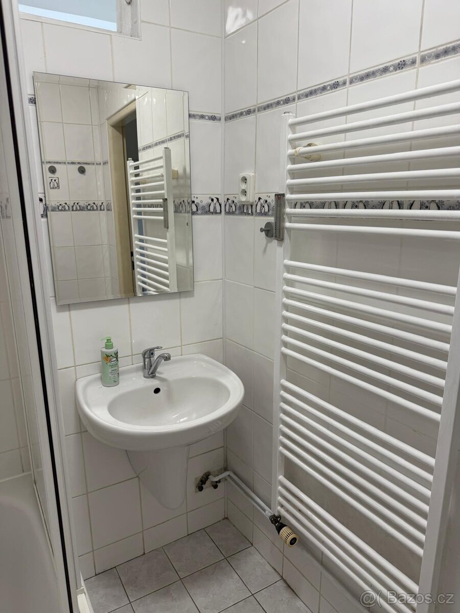 Byt 2+1 o rozloze 61 m² v centru Sokolova - 11