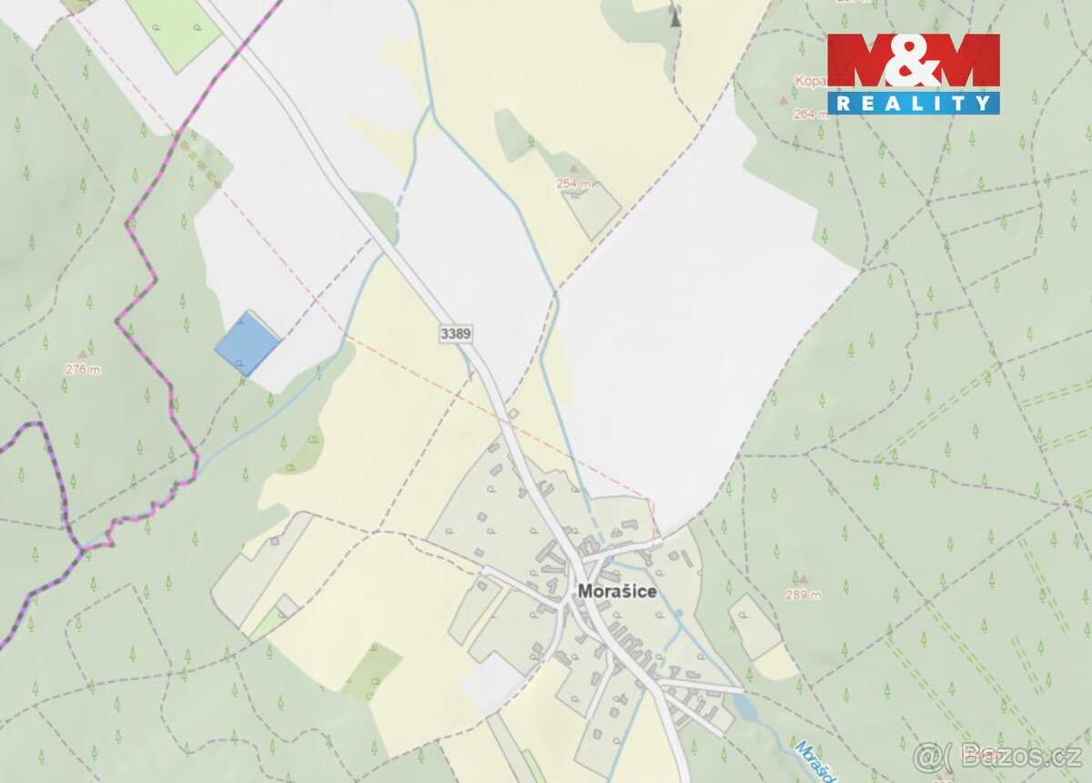 Prodej ovocného sadu v Morašicích - 11