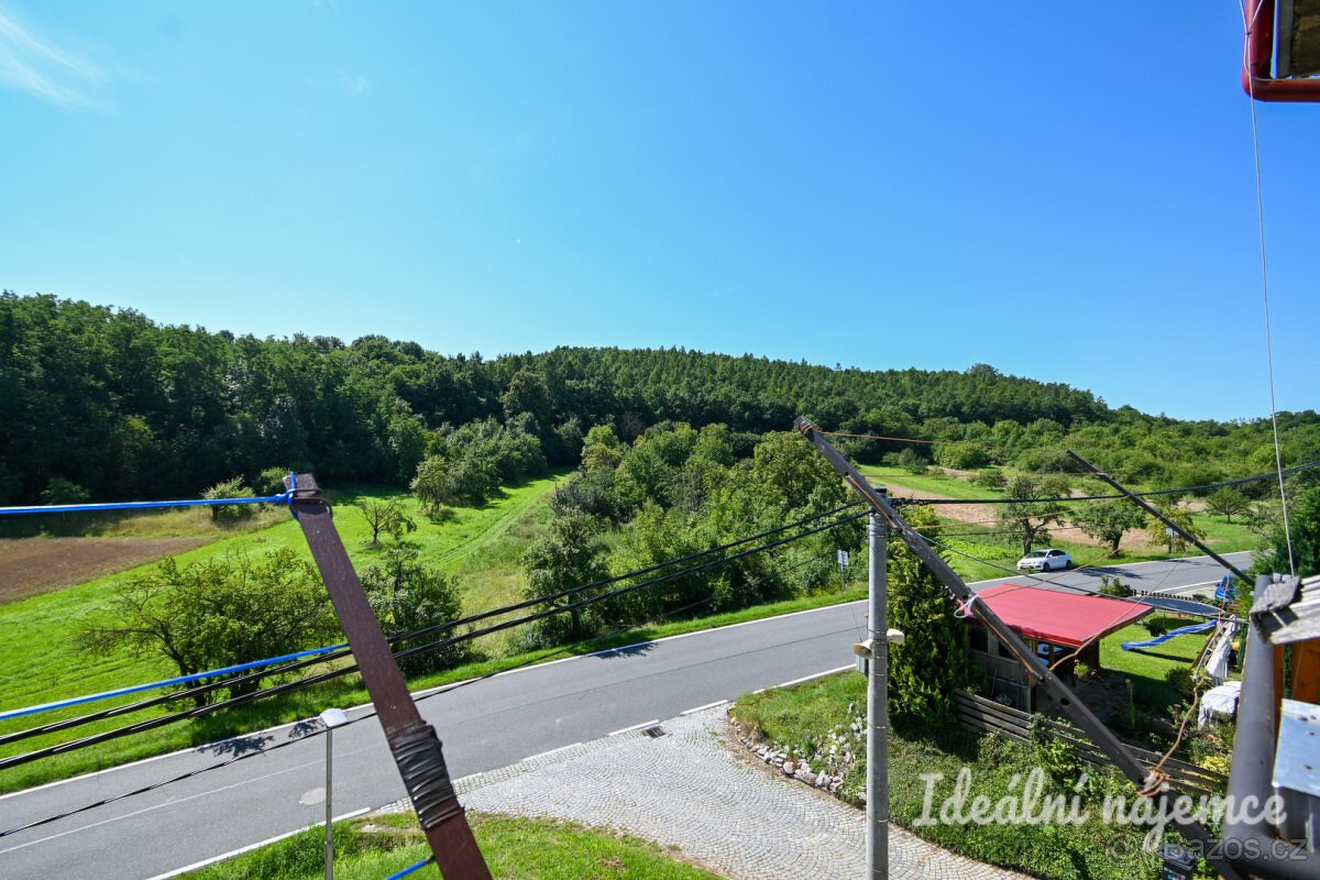 Prodej bytu 1+1 35 m² Nížkovice - 11